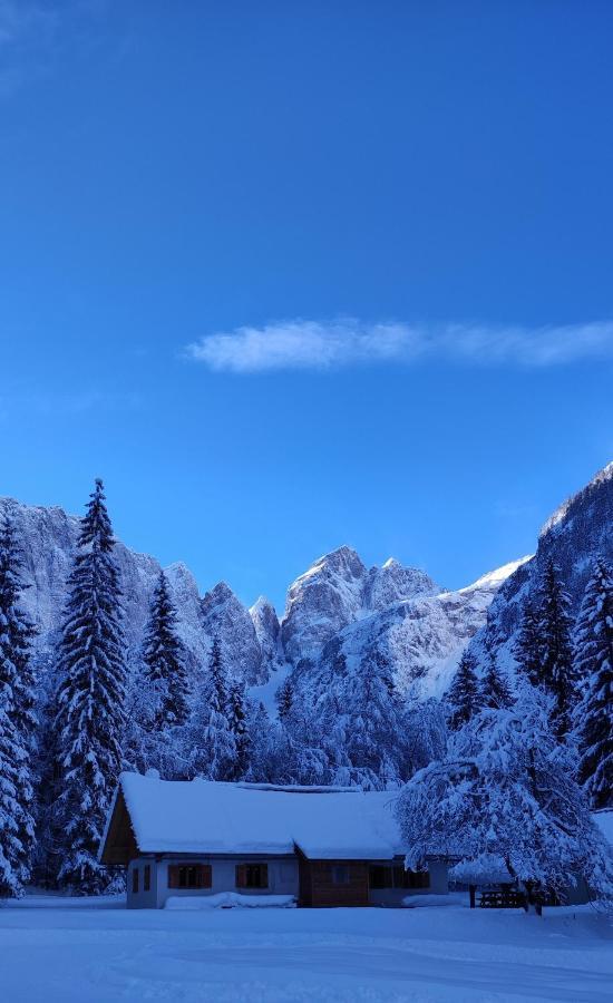 Sport Manca Garni Hotel Radovljica Bagian luar foto
